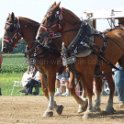 alto-fair-horse-pull-2009-309