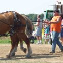 alto-fair-horse-pull-2009-310