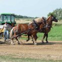 alto-fair-horse-pull-2009-314