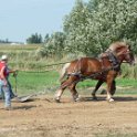 alto-fair-horse-pull-2009-321