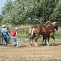 alto-fair-horse-pull-2009-323