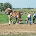 alto-fair-horse-pull-2009-325