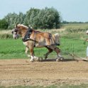alto-fair-horse-pull-2009-329