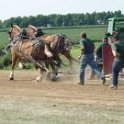 alto-fair-horse-pull-2009-346