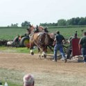 alto-fair-horse-pull-2009-348