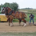 alto-fair-horse-pull-2009-368