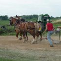 alto-fair-horse-pull-2009-379