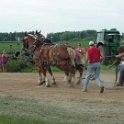 alto-fair-horse-pull-2009-380