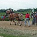 alto-fair-horse-pull-2009-381