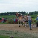 alto-fair-horse-pull-2009-385