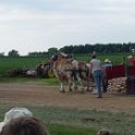 alto-fair-horse-pull-2009-391