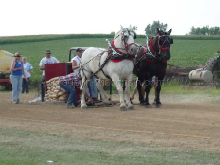 alto-fair-horse-pull-2009-406