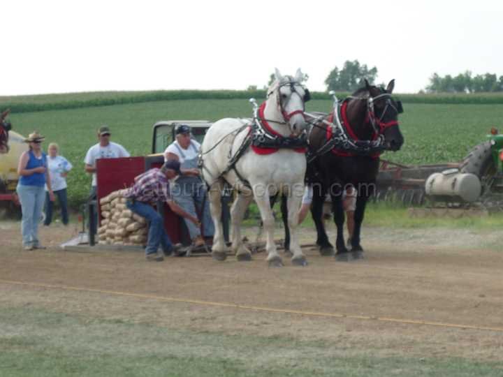 alto-fair-horse-pull-2009-407
