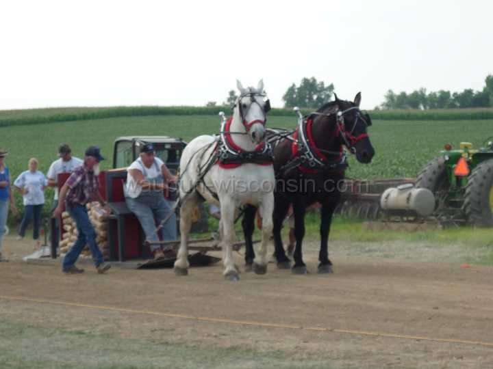 alto-fair-horse-pull-2009-408