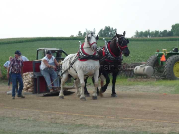 alto-fair-horse-pull-2009-409