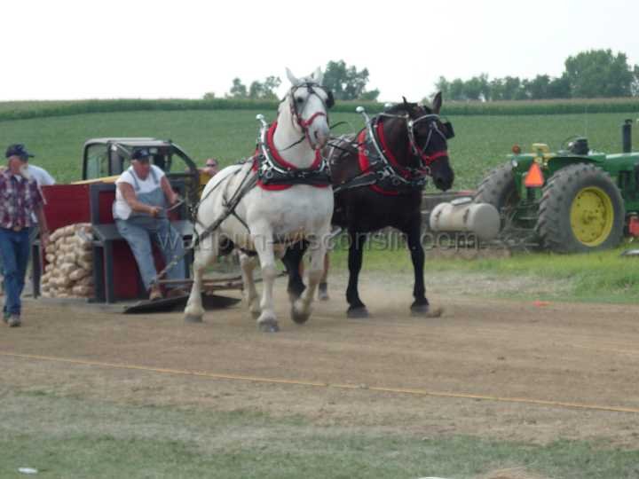 alto-fair-horse-pull-2009-411