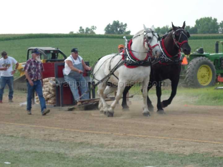 alto-fair-horse-pull-2009-414