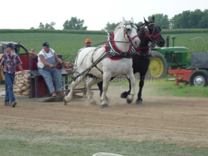 alto-fair-horse-pull-2009-415