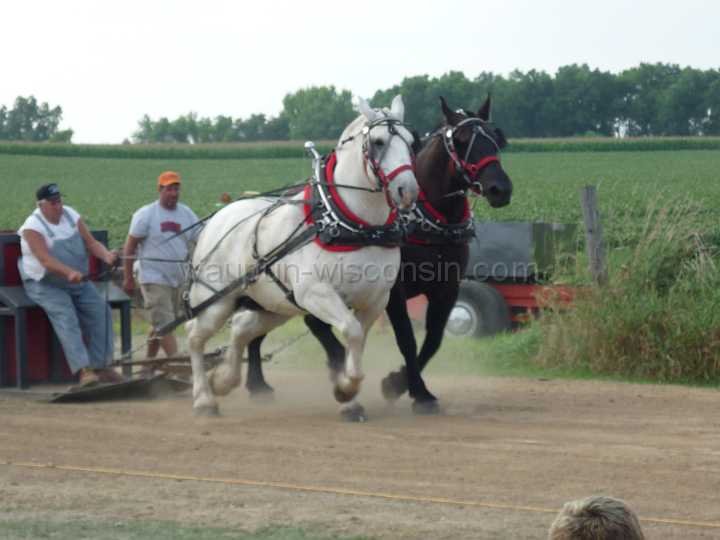 alto-fair-horse-pull-2009-417