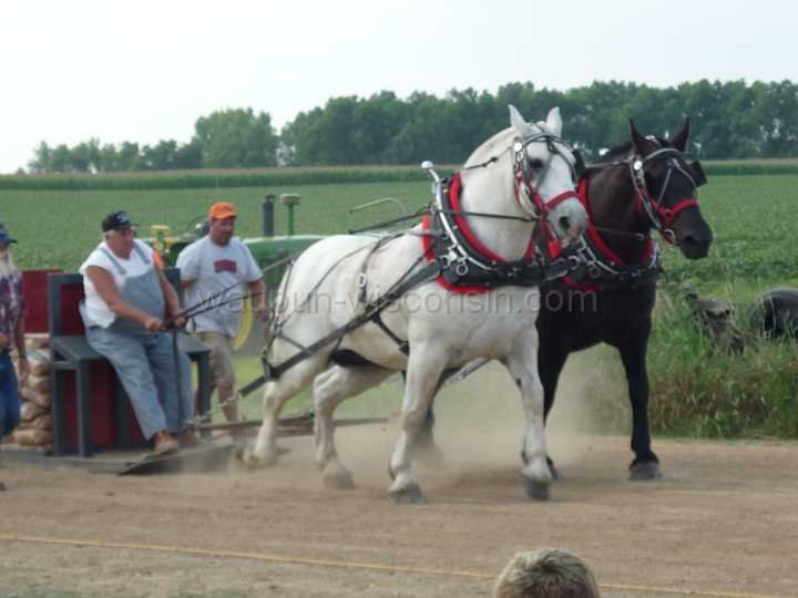 alto-fair-horse-pull-2009-419