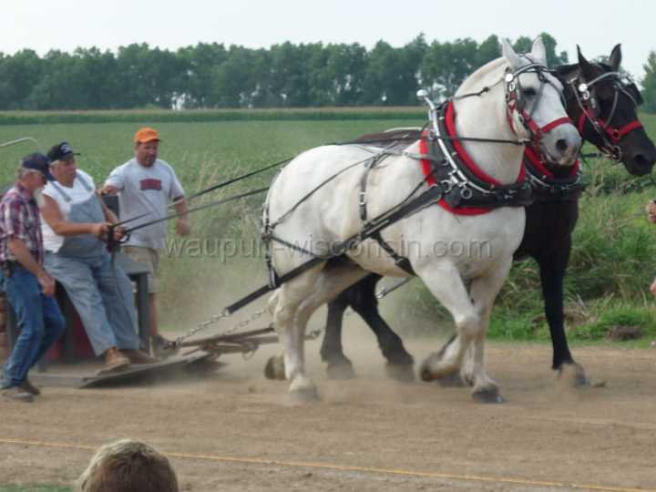 alto-fair-horse-pull-2009-422