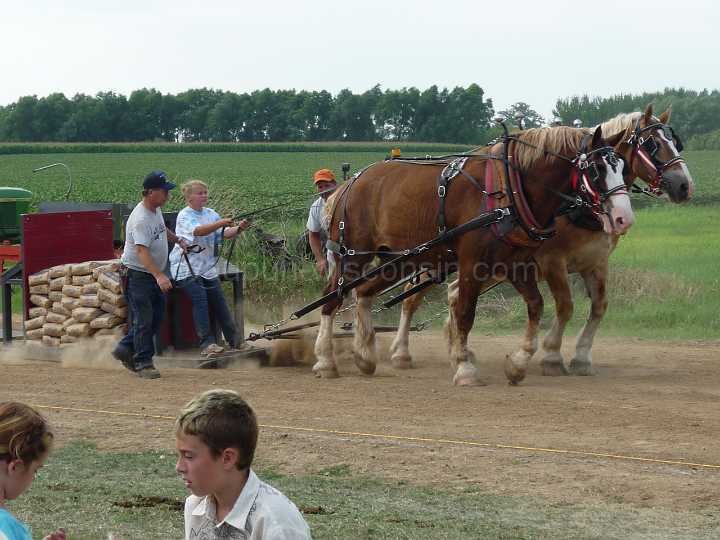 alto-fair-horse-pull-2009-425