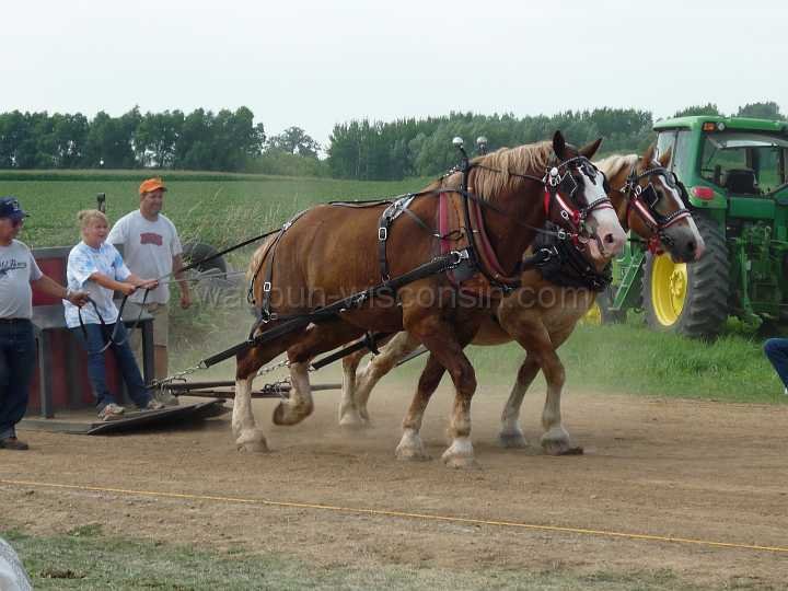 alto-fair-horse-pull-2009-431