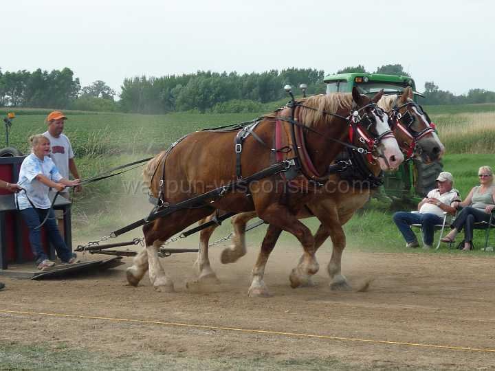 alto-fair-horse-pull-2009-433
