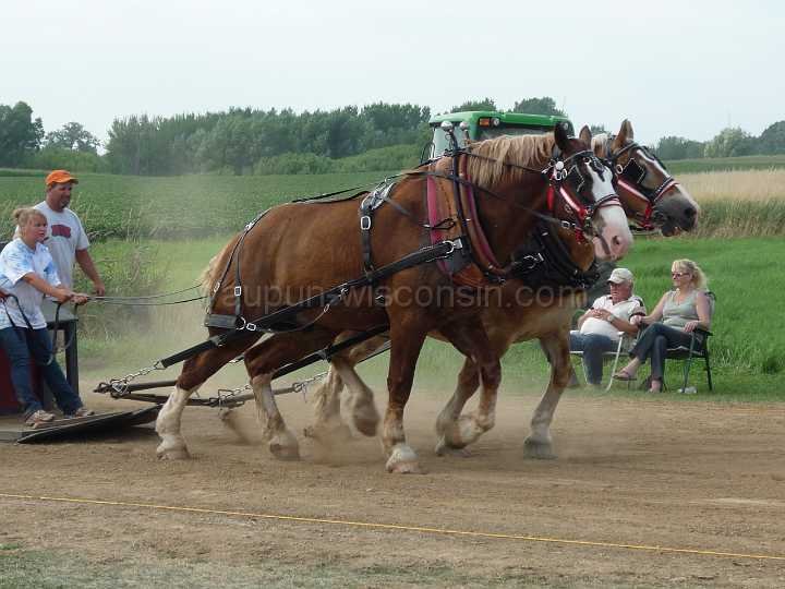 alto-fair-horse-pull-2009-434