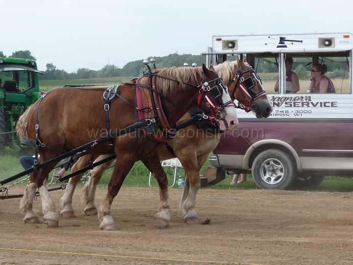 alto-fair-horse-pull-2009-444