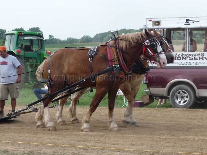 alto-fair-horse-pull-2009-445