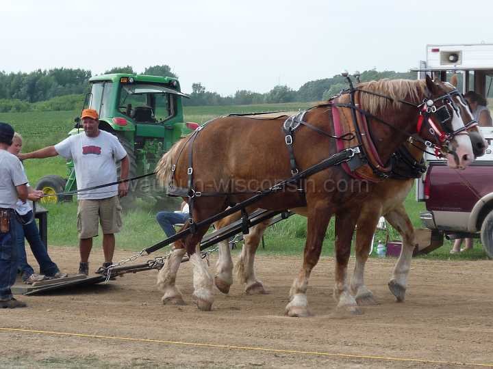alto-fair-horse-pull-2009-446