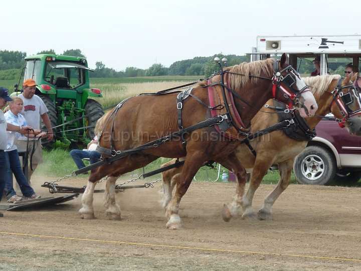 alto-fair-horse-pull-2009-451