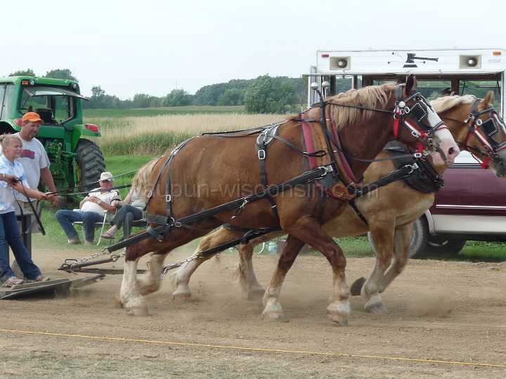 alto-fair-horse-pull-2009-452