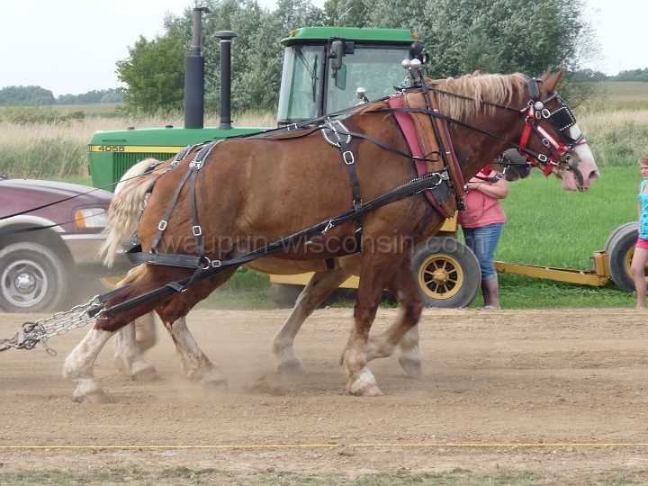 alto-fair-horse-pull-2009-459