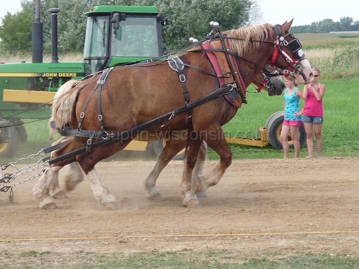 alto-fair-horse-pull-2009-460