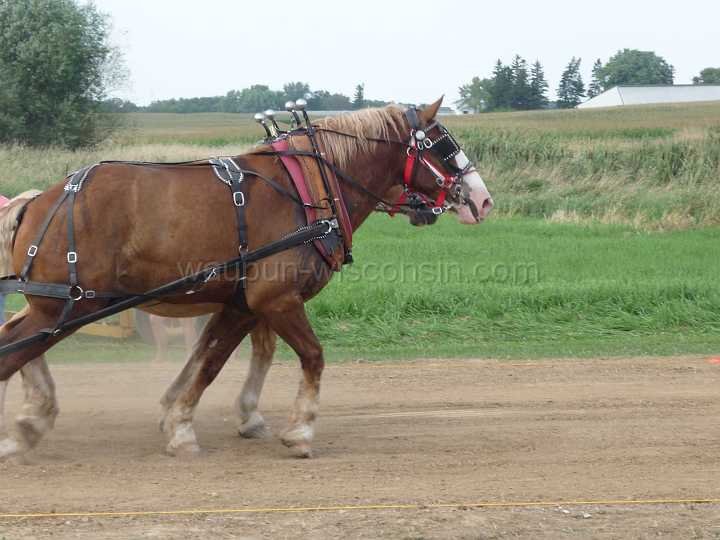 alto-fair-horse-pull-2009-463