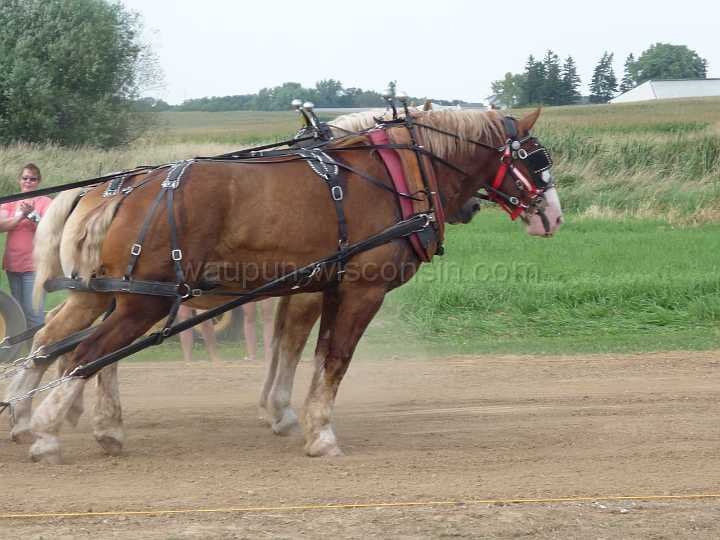 alto-fair-horse-pull-2009-465