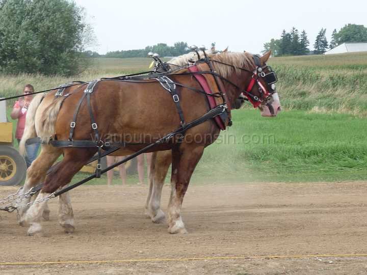 alto-fair-horse-pull-2009-466