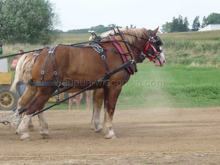 alto-fair-horse-pull-2009-467
