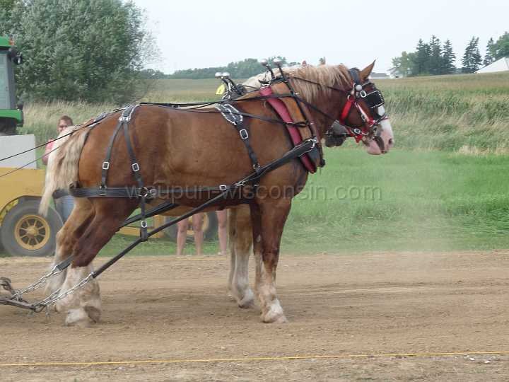 alto-fair-horse-pull-2009-468