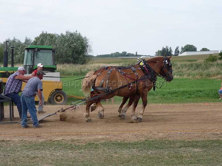 alto-fair-horse-pull-2009-472