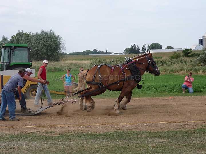 alto-fair-horse-pull-2009-474