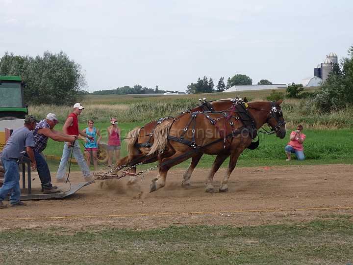 alto-fair-horse-pull-2009-475