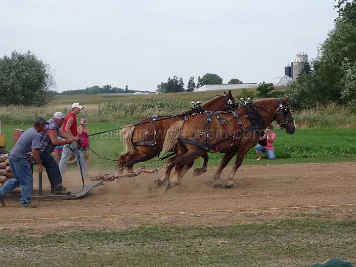 alto-fair-horse-pull-2009-476