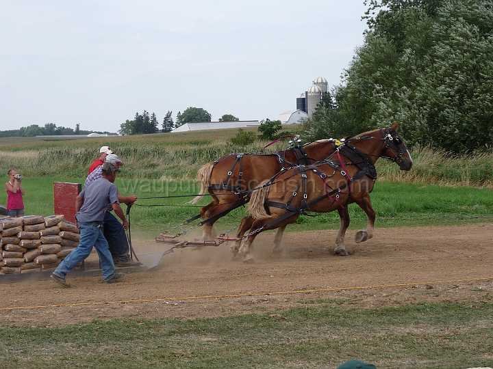 alto-fair-horse-pull-2009-478