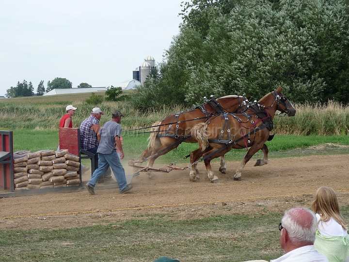 alto-fair-horse-pull-2009-480