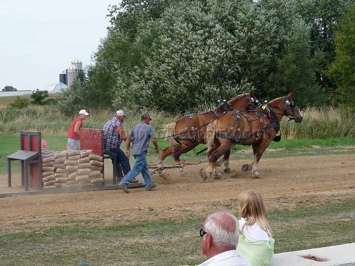 alto-fair-horse-pull-2009-482