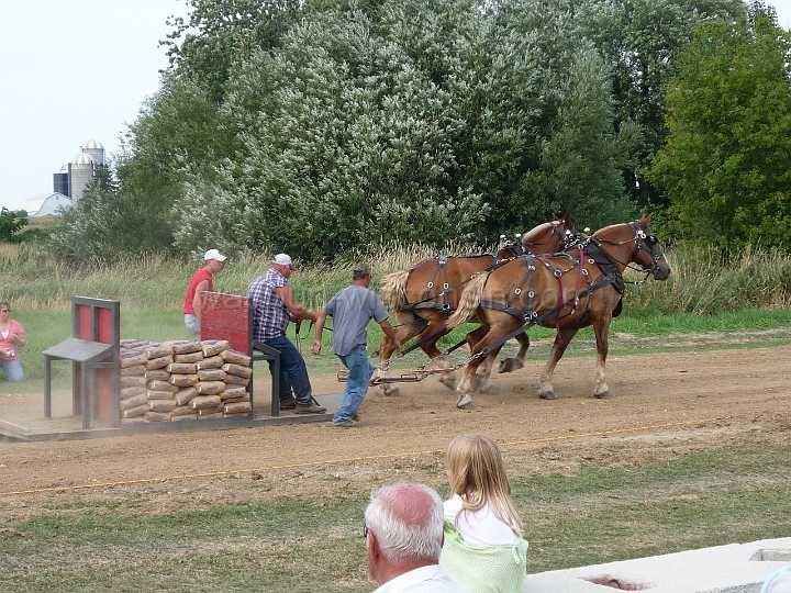 alto-fair-horse-pull-2009-483