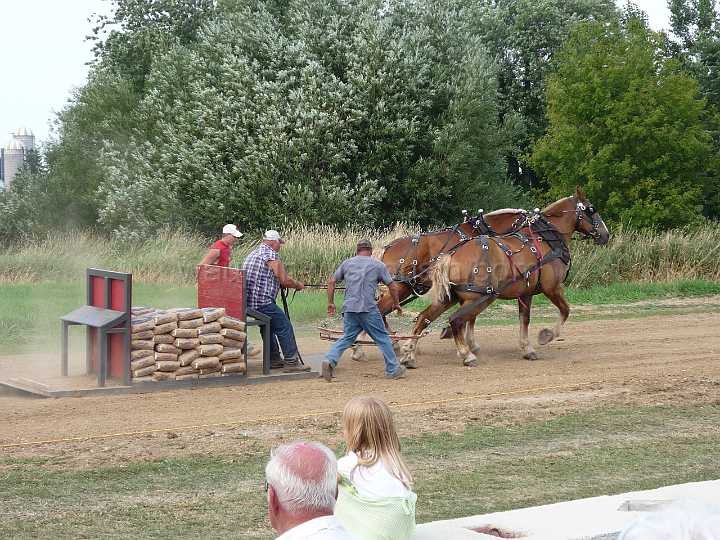 alto-fair-horse-pull-2009-484